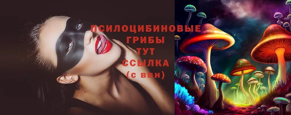 стафф Заводоуковск