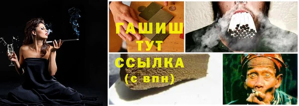 стафф Заводоуковск
