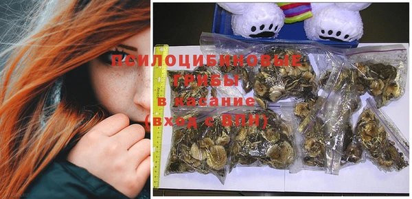 дживик Заволжье