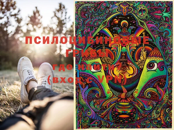 стафф Заводоуковск