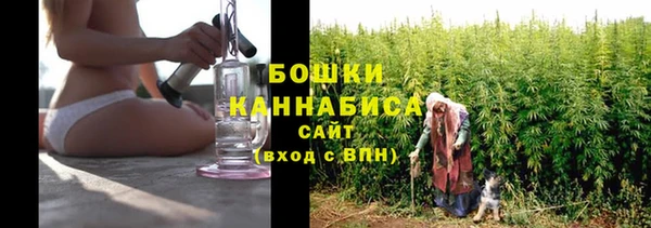стафф Заводоуковск