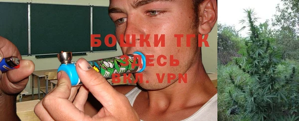 стафф Заводоуковск