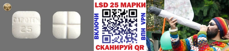 цена наркотик  Калачинск  LSD-25 экстази кислота 