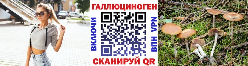 Псилоцибиновые грибы мицелий  даркнет наркотические препараты  Калачинск 